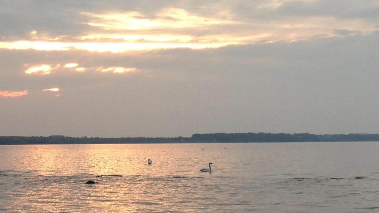 AreaSummer20KM AreaSummer20KM